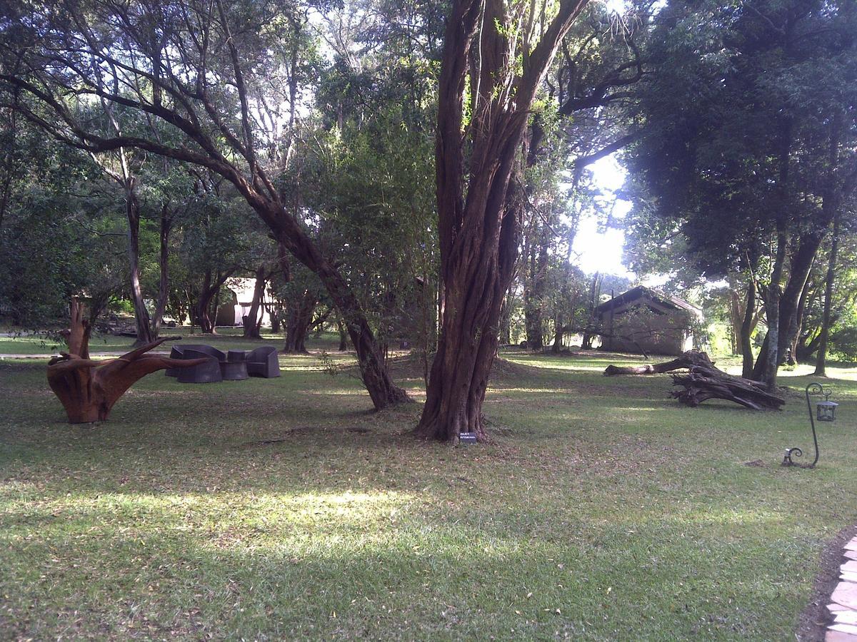 Mara River Camp Aitong Exterior photo